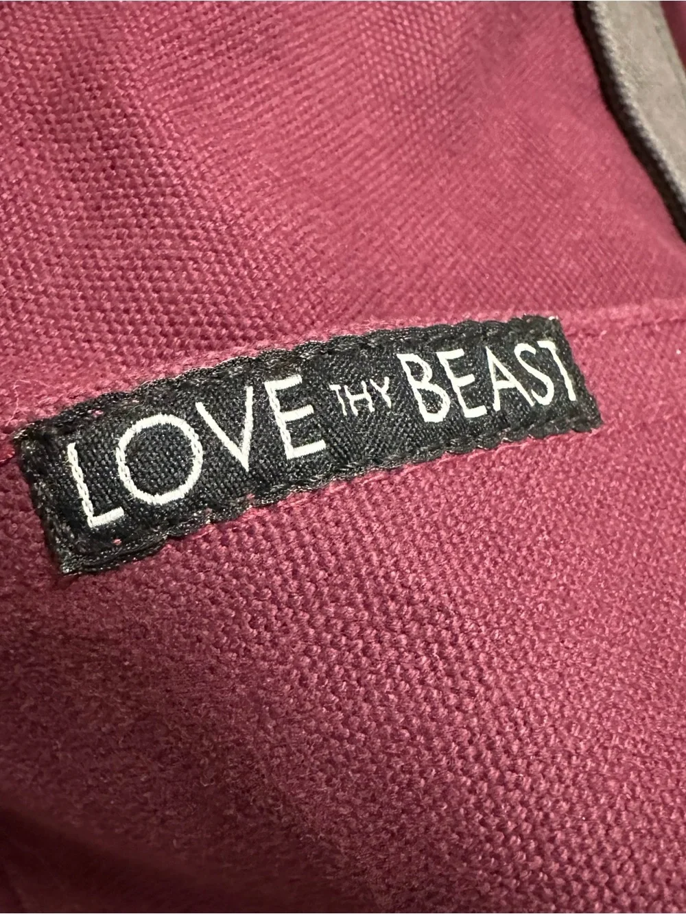 Love Thy Beast Canvas Dog Tote- Medium dog (15lbs)